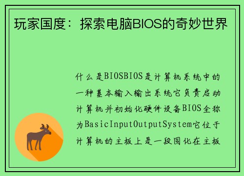 玩家国度：探索电脑BIOS的奇妙世界
